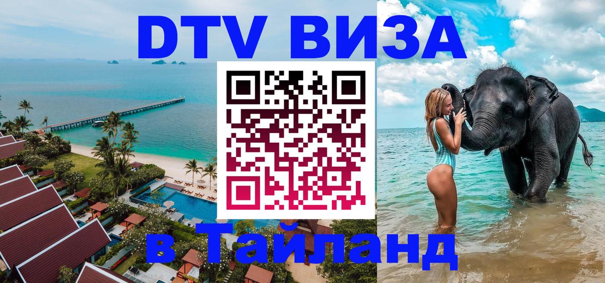 Сколько стоит DTV виза — актуальные цены, оформление даже без документов - Астана  20.11.2025 